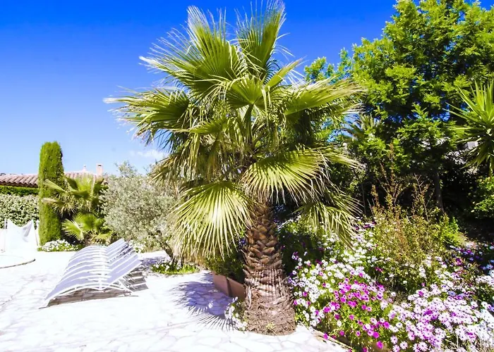 Grande A Maxime - Golfe De Saint Tropez